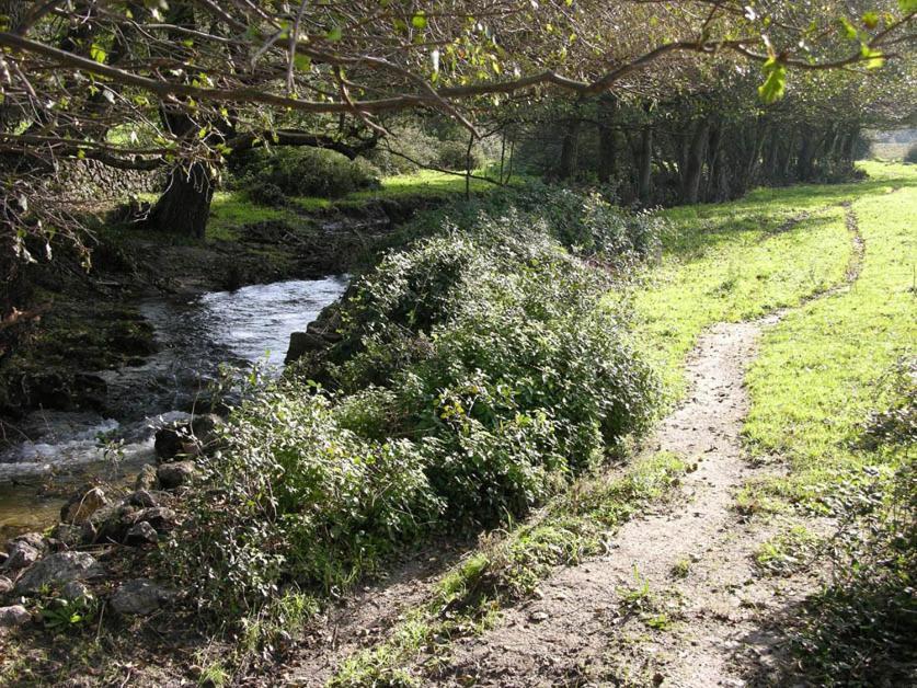 Вилла Quinta De Luna Валенсия-де-Алькантар Экстерьер фото